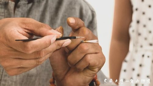 地摊上的指尖艺术 果核工艺品的非遗魅力与图文设计之美